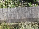 image of grave number 569546